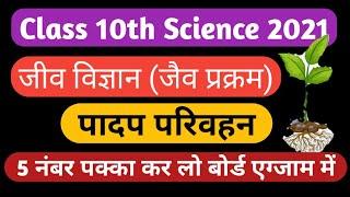 Class 10th Science biology (पादप में परिवहन) जैव प्रक्रम #skguidance