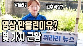 청양농부참동TV 뉴스 [고추농사,귀농귀촌]