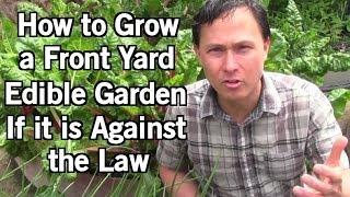 How to Grow Food in Your Front Yard if it is Illegal