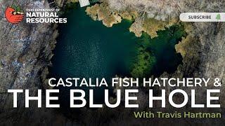 Castalia Fish Hatchery & The Blue Hole with Travis Hartman