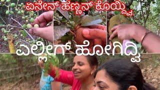 Village lifestyle ॥Kannada Vlog ॥ Kannada vlogs with Pratibha