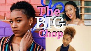 My Big Chop 2017 : Journey To Healthy Natural Hair || Gabrielle Morris