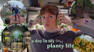  spend a day with me (a crazy plant lady )  plant shelf reset, garden clean up, & more!