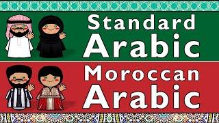 SEMITIC: MODERN STANDARD ARABIC & MOROCCAN ARABIC