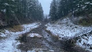 Montana mountain cabin for sale, view from creek / pond