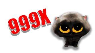 KITTEH KITTEH Scatman cat But it's 999x Speed