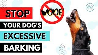 How to train your dog / puppy to STOP  Barking Excessively. || Monkoodog