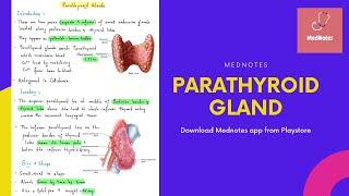 Parathyroid Gland -Head & Neck | MedNotes