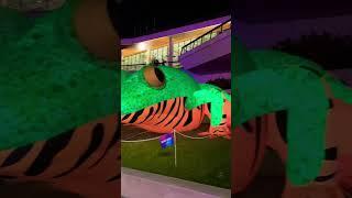 #animal #vividsydney #megacrrwatue #frog