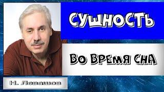 СУЩНОСТЬ ВО ВРЕМЯ СНА. Николай Левашов. #познавательное#сущность#сущности#сон#послесмерти