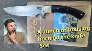 Training of Nature Tournament of Steel 80crv2#knifeskills  A samurai knife#knifesharpening