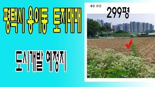 평택시 용이동 도시개발예정지 내 토지매매 299평