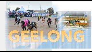 (MEMBERSHIP SAMPLING)  [ GEELONG ] Australian Greyhound Race Analysis