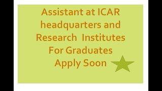 Assistant at ICAR headquarters and research institutes