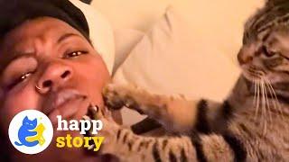 This Cat Makes Biscuits on His Mom's FACE Every Day! | HAPP