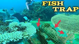 nagsidagsaan sila sa aming fish trap Jackpot| Bryan Fishing Tv