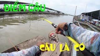 Fishing 295Câu Cá Dảnh Ngoài Bè Chổ Nào Câu Cũng Có Cá Hết Á Anh Em