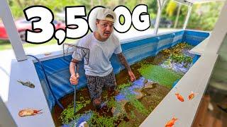 I emptied My POND and Found THIS…
