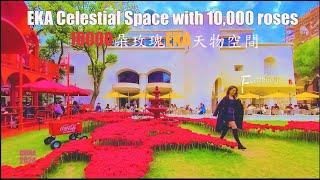 10,000 roses attract bees in Shanghai EKA Tianwu I Shanghai China I 4K