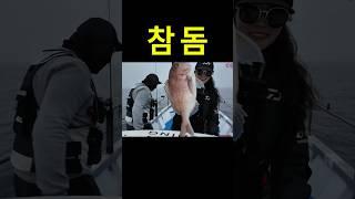 나와라~ #fishing #욕지도참돔포인트#참돔타이라바