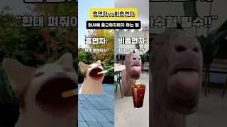 흡연자 비흡연자 일상생활 비교 #고양이밈
