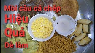 Mồi câu cá chép hiệu quả, dễ làm: Câu đài, câu lục, câu lăng xê