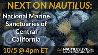 Next on Nautilus: National Marine Sanctuaries in Central California