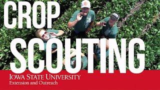 Crop Scouting Competition 2022 Video