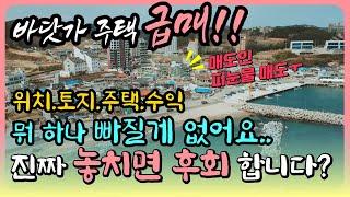 [눈물의 급매물] 바다 앞 집 급매 바닷가 주택 급매 바닷가 뷰의 바닷가 주택 매매 바닷가 집 매물 동해 바닷가 앞 집