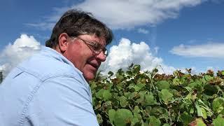 Treasure Coast 1715 Wreck Sites with Bill Black Interview