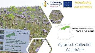 Agrarisch Collectief Waadrâne - Introducing one of the BEESPOKE partners