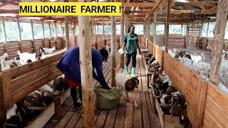 Best Ways To Feed GOATS In A Simple Goat Farm Business! | Best feeds, New Lambs(ROUTINE)