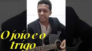 O joio e o Trigo | Cantor Leandro Muniz ( cover) #ojoioeotrigo #cantorleandromuniz