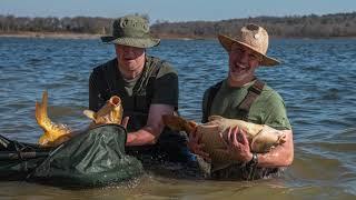 THE AMERICAN CARP SOCIETY - MANDALA GOLD - SHORT CLIP MOVIE