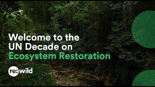 Welcome to the UN Decade on Ecosystem Restoration