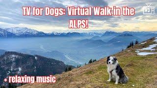 4K Dog TV: Dog POV Mountain Walk, Enhanced Color for Dog Vision, Anti-Anxiety RELAXING MUSIC