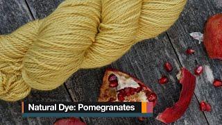 Make a Natural Dye Using Pomegranates!