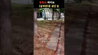 47세 초보유튜버에게 까불던 양아치의 최후 #shorts