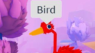 The Roblox Bird Experience