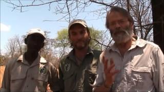 WildCRU   A personal message from Professor David Macdonald