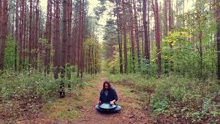 Edoardo Striani - Improvisation in the Forest (RAV Vast A Integral)