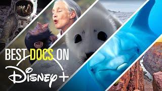 10 Must See Documentaries on Disney+ | MoviesWood