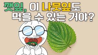 어린이과학 | 깻잎 | 이 나뭇잎도 먹을 수 있는 거야? | 과학호기심 | 탐구 | 생물 |  질문에 빠진 안다씨의 과학이야기