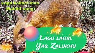 LAOSI || Lagu nias || Yas. Zalukhu