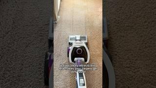 Clean Your Carpets Like A Champ | Day 21 Spring Cleaning Spree 2024 #cleaning #carpet #howto