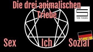 Psychologie: Enneagramm Subtypen / Animalische Triebe im Vergleich zu Freud (Persönlichkeits-Typen)