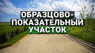 Образцово-показательный участок в 5 га. Радосвет - родовые поместья.