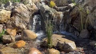 Mt., Sinai Simi Valley Double Pondless - Birds Tour