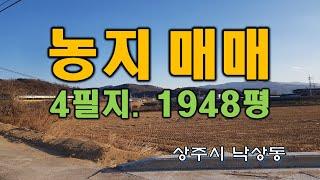 (매물번호 5018)경상북도 상주시 낙상동 농지. 4필지 1948평. 도로접하고 있으며 현재 논으로 사용중, 길보다 지대가 1m이상 낮음. 생산관리지역, 마을 입구에 위치함