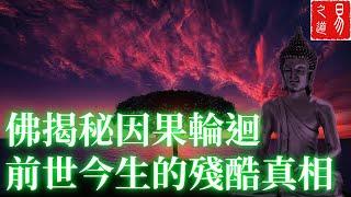 佛揭秘因果輪迴前世今生的殘酷真相 | 易之道